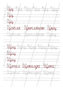 Прописи букв: письменный алфавит от А до Я, буква «Ц» — лист 15
