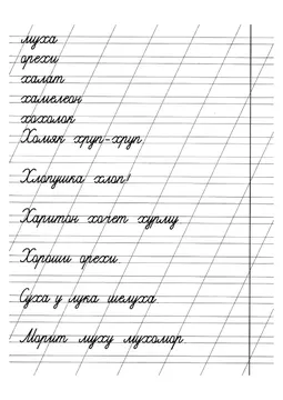 Прописи: слоги, слова и предложения — лист 13