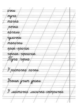 Прописи: слоги, слова и предложения — лист 14
