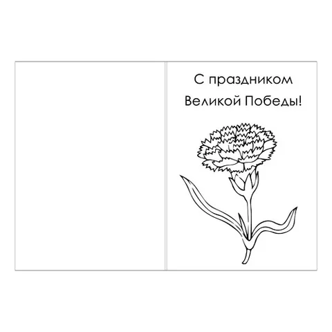 Раскраска «Открытка к 9 мая с гвоздикой»