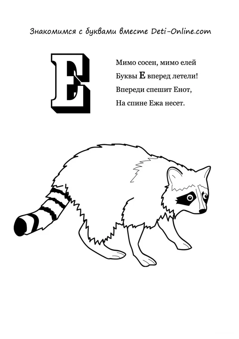 Раскраска «Буква Е - Енот» — чёрно-белый контурный рисунок для печати