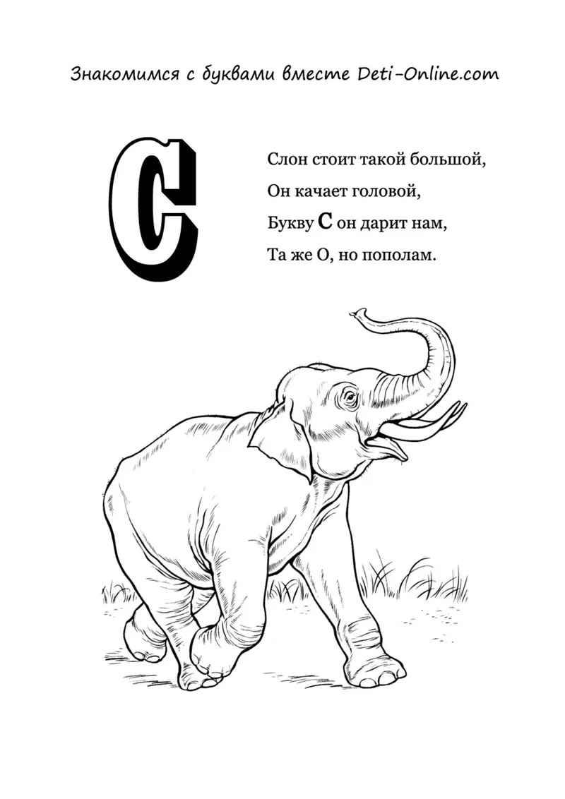 Раскраска «Буква С - Слон» — чёрно-белый контурный рисунок для печати