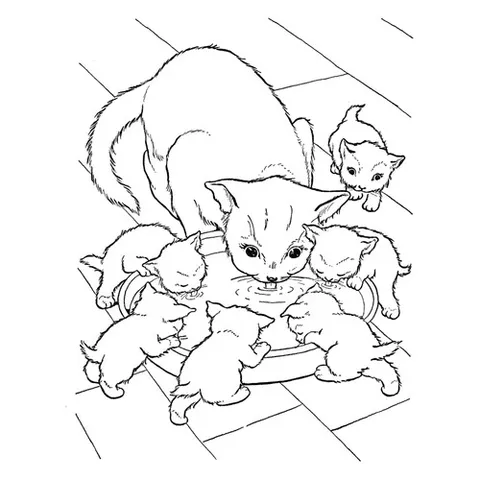 Раскраска «Кошка и шесть котят»