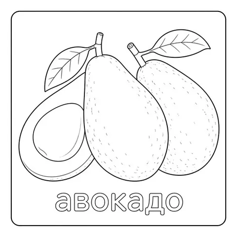 Раскраска «Авокадо»