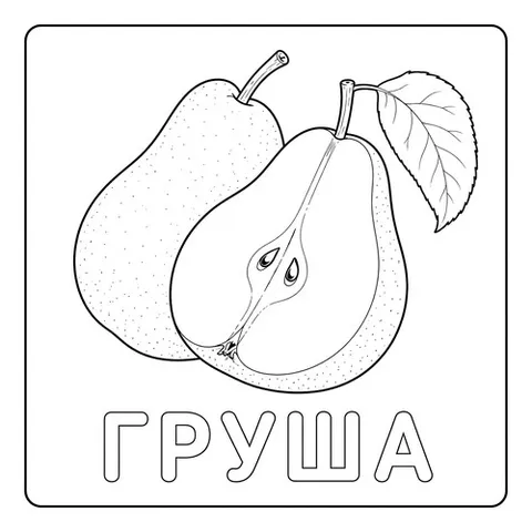 Раскраска «Фрукты Груша»