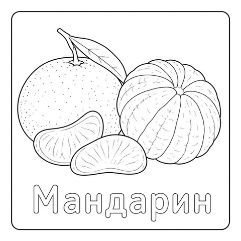 Раскраска «Мандарин»