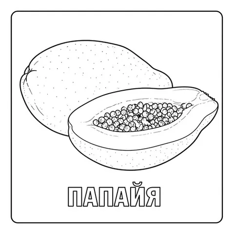 Раскраска «Папайя»