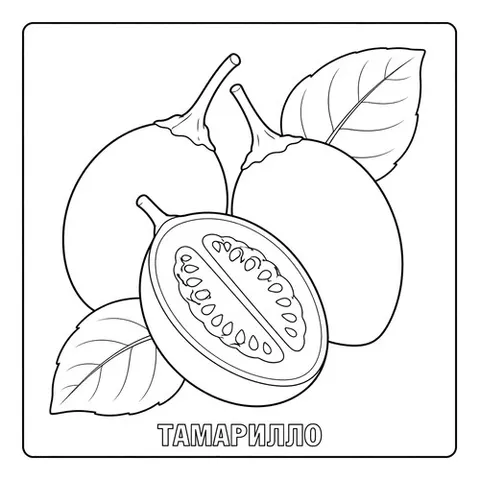 Раскраска «Тамарилло»