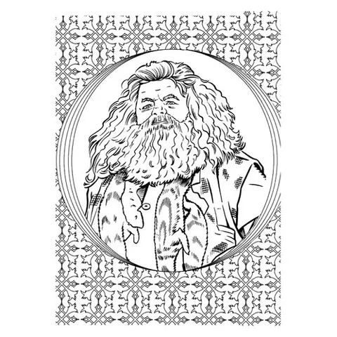 Раскраска «Рубеус Хагрид»