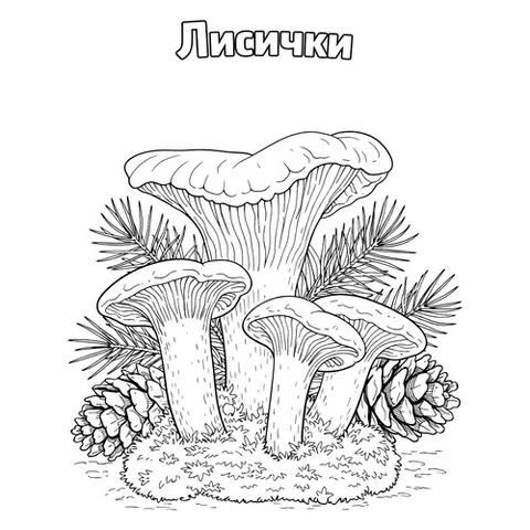 Раскраска «Лисички»