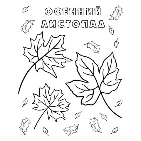 Раскраска «Осенний кленовый листопад»