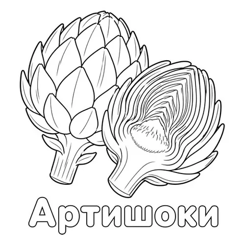 Раскраска «Артишоки»
