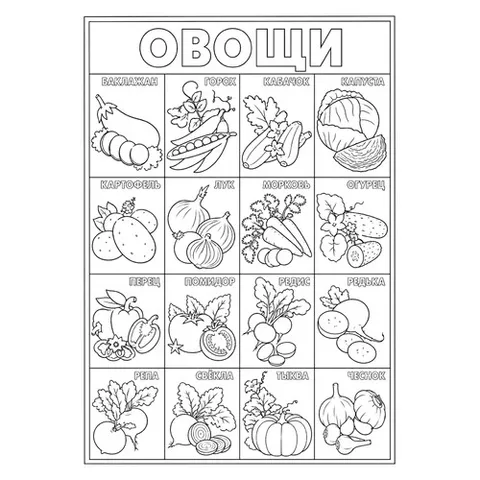 Раскраска «Большой набор овощей»