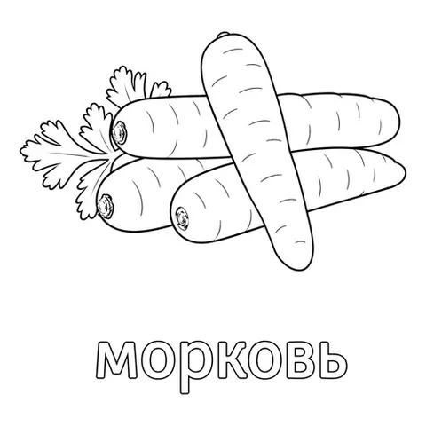 Раскраска «Четыре морковки»
