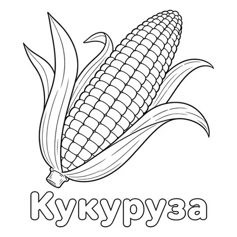 Раскраска «Кукуруза»