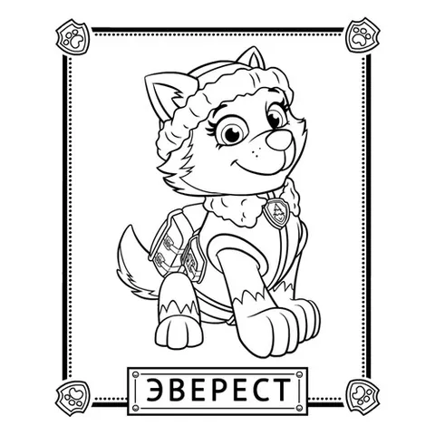 Раскраска «Эверест»