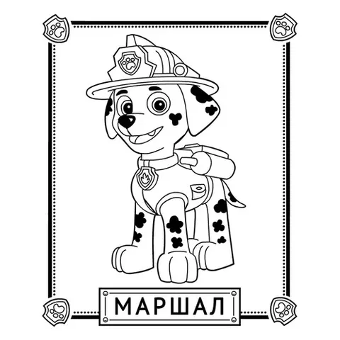 Раскраска «Маршал»