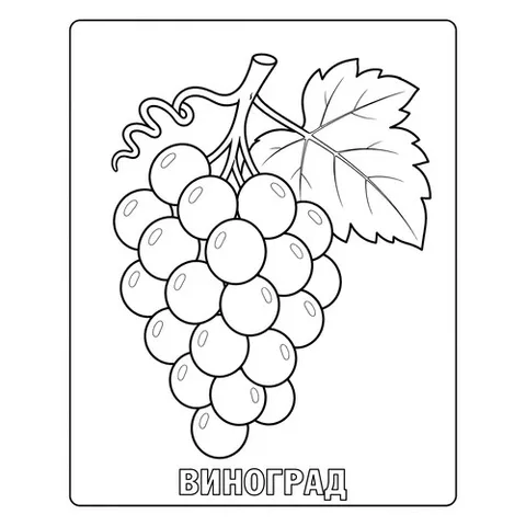 Раскраска «Гроздь винограда»