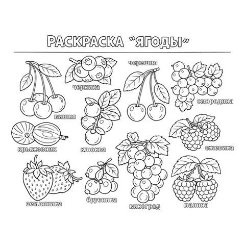 Раскраска «Раскраска Ягоды»