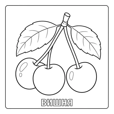 Раскраска «Ягода вишня»